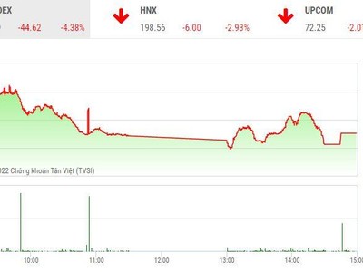 Giao dịch chứng khoán chiều 7/11: Cổ phiếu la liệt giá sàn, VN-Index giảm điểm xuyên đáy cũ