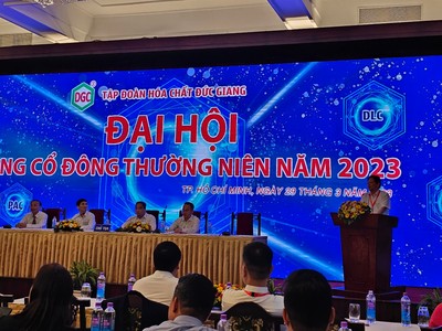 Chủ tịch HĐQT Hóa chất Đức Giang (DGC): Chúng tôi không đi giải quyết nỗi buồn của cổ đông