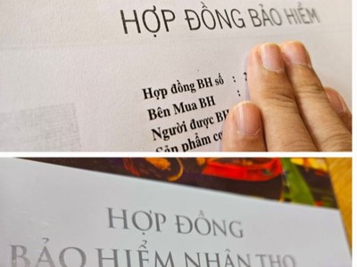 Các doanh nghiệp bảo hiểm sẽ phải xây dựng bản tóm tắt hợp đồng bảo hiểm