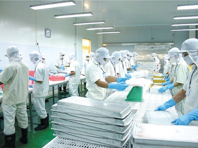 Thuỷ sản Cửu Long An Giang (ACL): Anh trai Chủ tịch đăng ký bán hết nửa triệu cổ phiếu