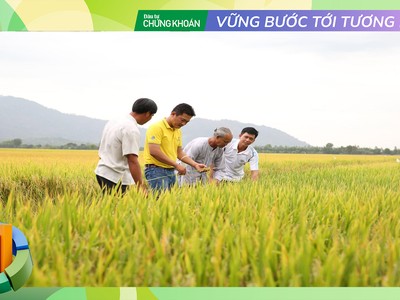 Phân bón Cà Mau với chiến lược tạo giá trị bền vững