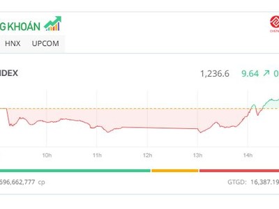 Phiên giao dịch chiều 2/8: Cổ phiếu chứng khoán nổi sóng, VN-Index hồi phục gần 30 điểm từ đáy
