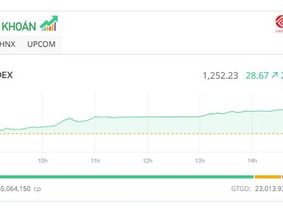 Sắc tím “nở rộ”, VN-Index “bay” qua mốc 1.250 điểm