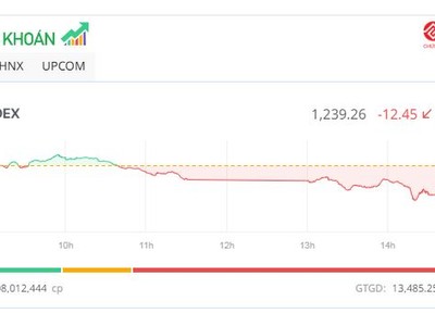 Thị trường chìm trong sắc đỏ, VN-Index về mức thấp nhất 1 tháng