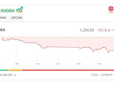 Thị trường mất hơn 15 điểm, cổ phiếu YEG lấy lại sắc tím