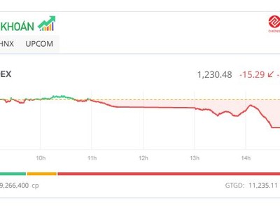 Sắc đỏ tràn ngập, VN-Index lùi về mốc 1.230 điểm