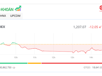 VN-Index về sát mốc 1.200 điểm, nhiều mã vừa và nhỏ vẫn dậy sóng