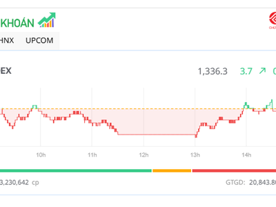Cổ phiếu vừa và nhỏ tỏa sáng, thị trường đảo chiều thành công