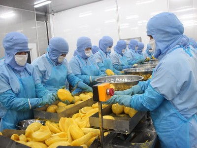 Thực phẩm An Giang (ANT) chào sàn HOSE với giá 40.900 đồng/CP 