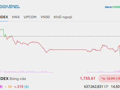 Áp lực bán gia tăng, VN-Index giảm hơn 11 điểm