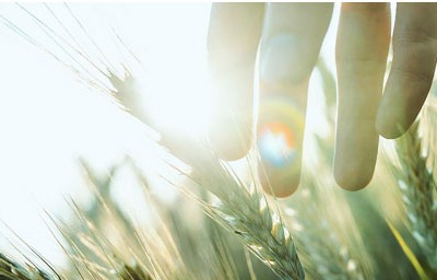 PAN: Lợi nhuận sau thuế 9 tháng đạt 404 tỷ đồng, vượt 44% kế hoạch năm