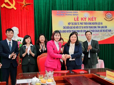 Vinasamex và huyện Tràng Định (Lạng Sơn) đã ký kết hợp tác đầu tư, phát triển vùng nguyên liệu và chế biến quế hồi hữu cơ. 