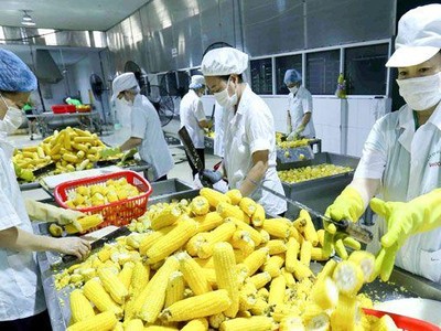 Xuất khẩu 5 tháng đầu năm tăng mạnh, đạt hơn 130 tỷ USD, tăng 30,7% so với cùng kỳ