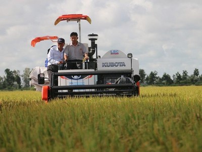 LTG vẫn triển khai việc thu mua nông sản của bà con nông dân theo giá đã cam kết và đưa ra thị trường tiêu thụ với giá bình ổn.