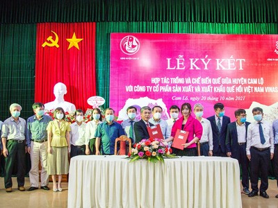 Vinasimex và UBND huyện Cam Lộ tỉnh Quảng Trị kí kết liên kết sản xuất và tiêu thụ sản phẩm quế, nghệ, gừng và tiêu hữu cơ.