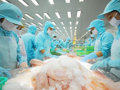 Thị trường xuất khẩu chủ lực của IDI như Nam Mỹ, Trung Quốc sôi động trở lại