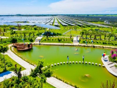 Bức họa “Những Đài hướng dương xanh” trên dãy Thất Sơn.