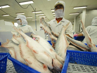 Đánh thức giá trị thật