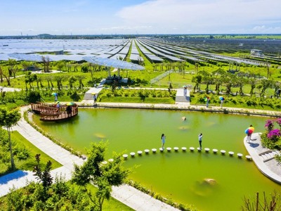 “Thảo nguyên xanh” gõ cửa mùa xuân