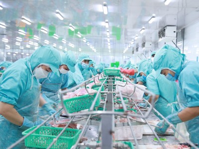 IDI tấp nập cho một mùa kinh doanh thuận lợi.