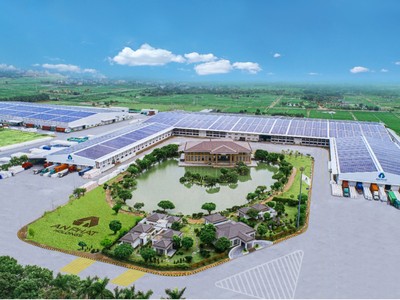 An Phát Holdings ghi nhận lợi nhuận sau thuế quý I/2024 cao nhất từ năm 2020.