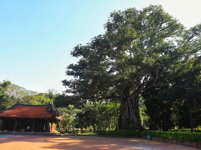 Hoài cổ một thời vàng son của dân tộc.