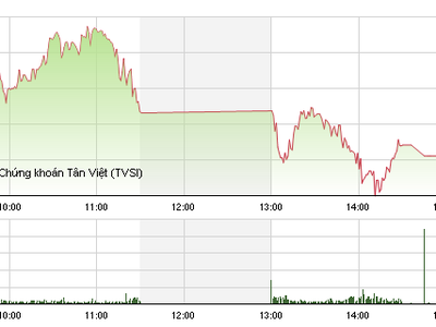 Phiên giao dịch chiều 12/8: Không giữ được bình tĩnh