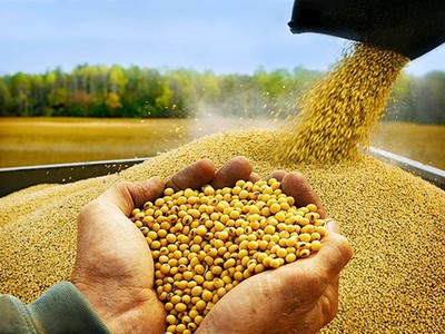 Thị trường hàng hóa tuần từ 4-11/3: Giá dầu quay đầu giảm mạnh