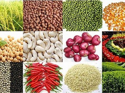 Nhà đầu tư hàng hóa: Sẵn sàng cho những cơ hội mới