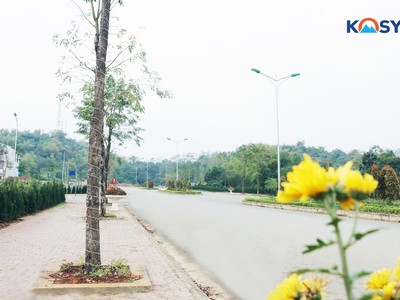 Mua nhà tháng 7 Âm lịch, thời điểm vàng hưởng lợi lớn