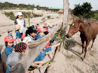 Thiếu định hình, mô hình bất động sản du lịch nông nghiệp khó phát triển