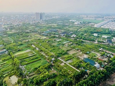 Đề xuất gia hạn thời hạn nộp thuế và tiền thuê đất năm 2025