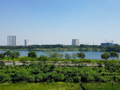 Trải qua mùa nắng nóng cực độ mới thấy giá trị của nơi sống có nhiều cây xanh