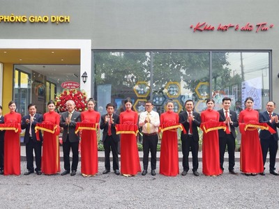 Tưng bừng khai trương nhà mẫu Bcons Avenue, trải nghiệm thiết kế mới nhất của Tập đoàn Bcons