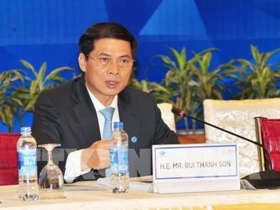 Thứ trưởng Thường trực Bộ Ngoại giao Bùi Thanh Sơn. Ảnh: TTXVN