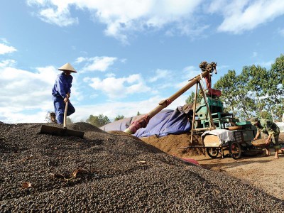 Ngành hàng nông sản xuất siêu 7 tỷ USD, vẫn... kém vui