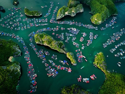 Thương hiệu 'Vietnam' được định giá 203 tỷ USD