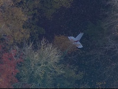 Hiện trường vụ máy bay rơi. Ảnh: The Guardian