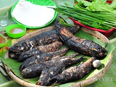 Cá trèo đồi: Đặc sản tiến vua quý hiếm đất Ninh Bình