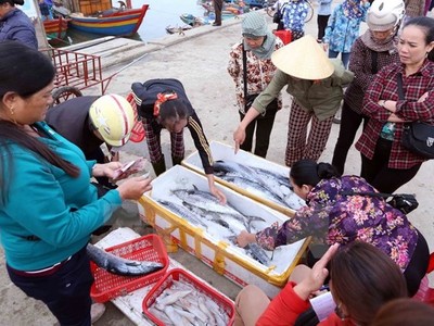 Hoạt động mua bán hải sản ở cảng cá Cửa Sót, xã Thạc Kim, huyện Lộc Hà, Hà Tĩnh