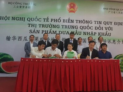 Doanh nghiệp Việt Nam vừa ký một loạt hợp đồng xuất khẩu dưa hấu niên vụ 2018 sang thị trường Trung Quốc.