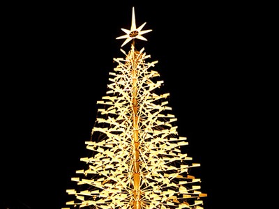 Đà Nẵng thắp sáng cây thông Noel cao nhất Việt Nam