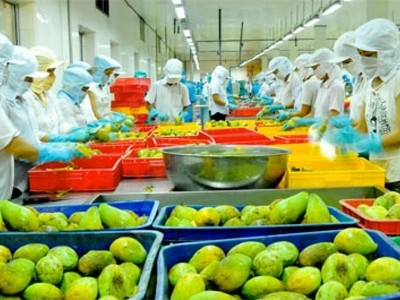 Xoay trục với mặt hàng chủ lực giúp ngành nông nghiệp thu về thành công lớn.