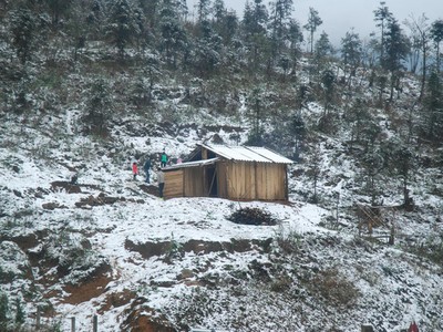 Tuyết đang phủ trắng đèo Ô Quý Hồ - Sa Pa