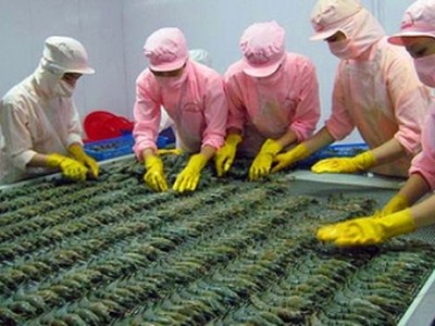 Theo Thương vụ Việt Nam tại Úc, hàng thủy sản, trong đó có con tôm đang rất có tiềm năng xuất sang thị trường Úc vì 70% nhu cầu tại thị trường này đang phụ thuộc vào nguồn nhập khẩu.