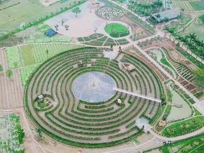 Mê cung bằng cây rộng 10.000 m2 ở ngoại thành Hà Nội