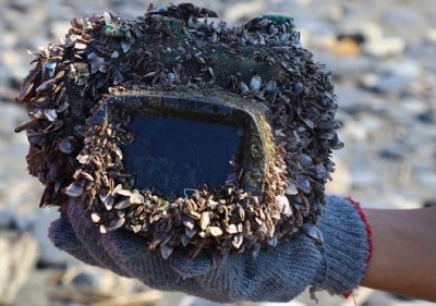 Máy ảnh bọc trong hộp chống thấm, bị vỏ hà và sò phủ kín bên ngoài. Ảnh: Park Lee.