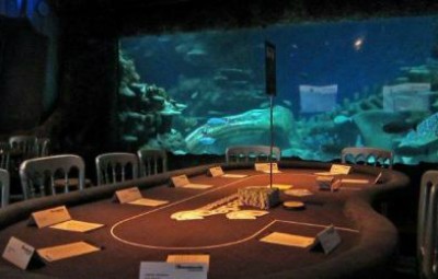 Bể cá cảnh khổng lồ trong một sòng bạc. Ảnh: Casinohire.