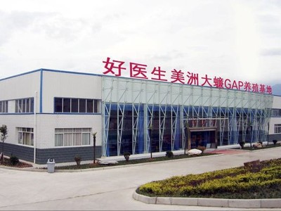 Bên ngoài trang trại nuôi gián lớn nhất thế giới để điều chế thuốc. Ảnh: SCMP.