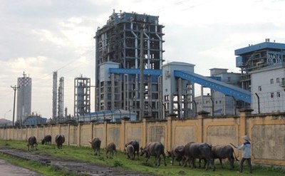 Nhà máy Đạm Ninh Bình vẫn đang trong tình trạng thua lỗ nghiêm trọng